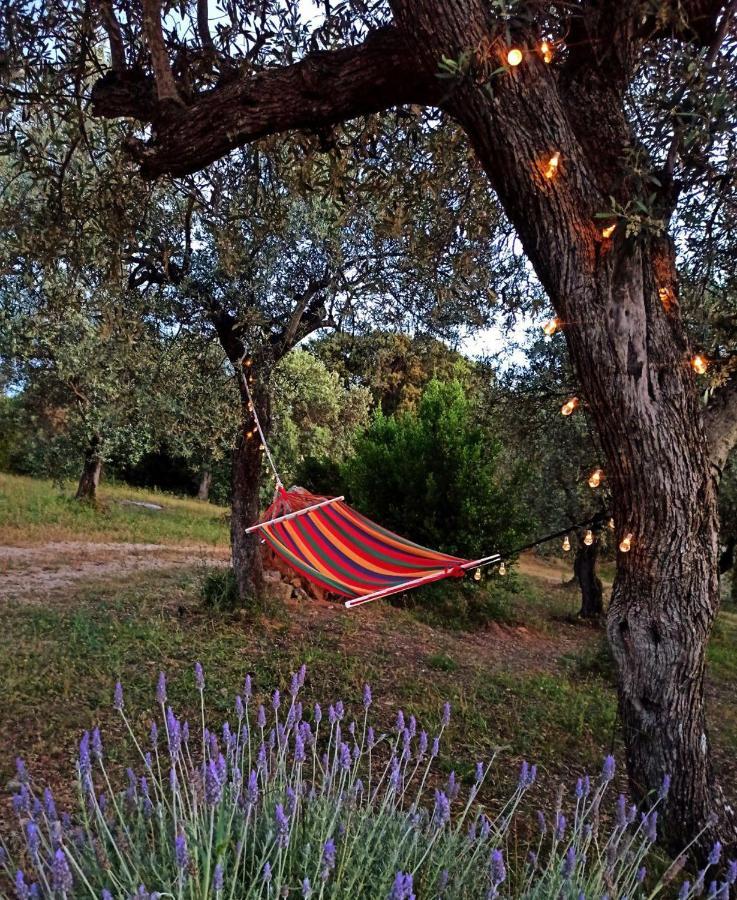 Villa Tramonto Alghero Luaran gambar
